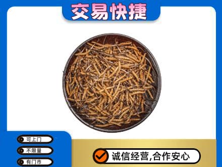 城子河区高价回收散虫草